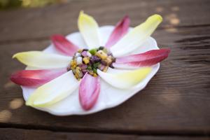 Latin Salsa and Endive Appetizer Latin Salsa and Endive Appetizer